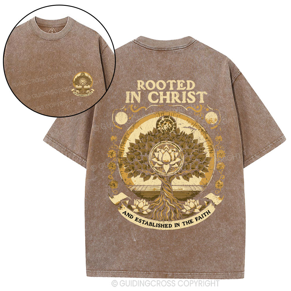 Rooted In Christ Christian Washed T-Shirt