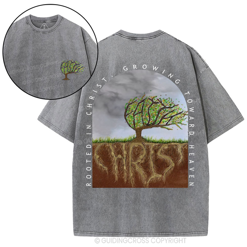Rooted In Christ Christian Washed T-Shirt