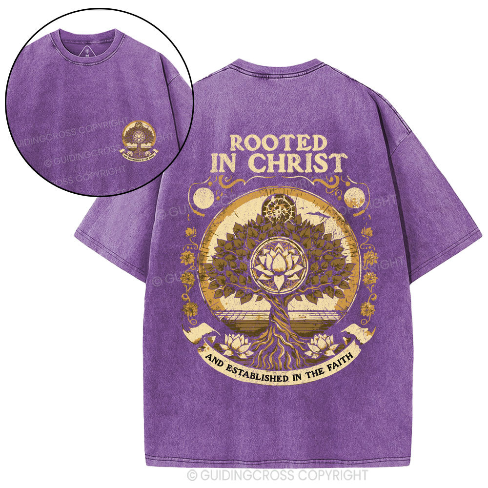 Rooted In Christ Christian Washed T-Shirt