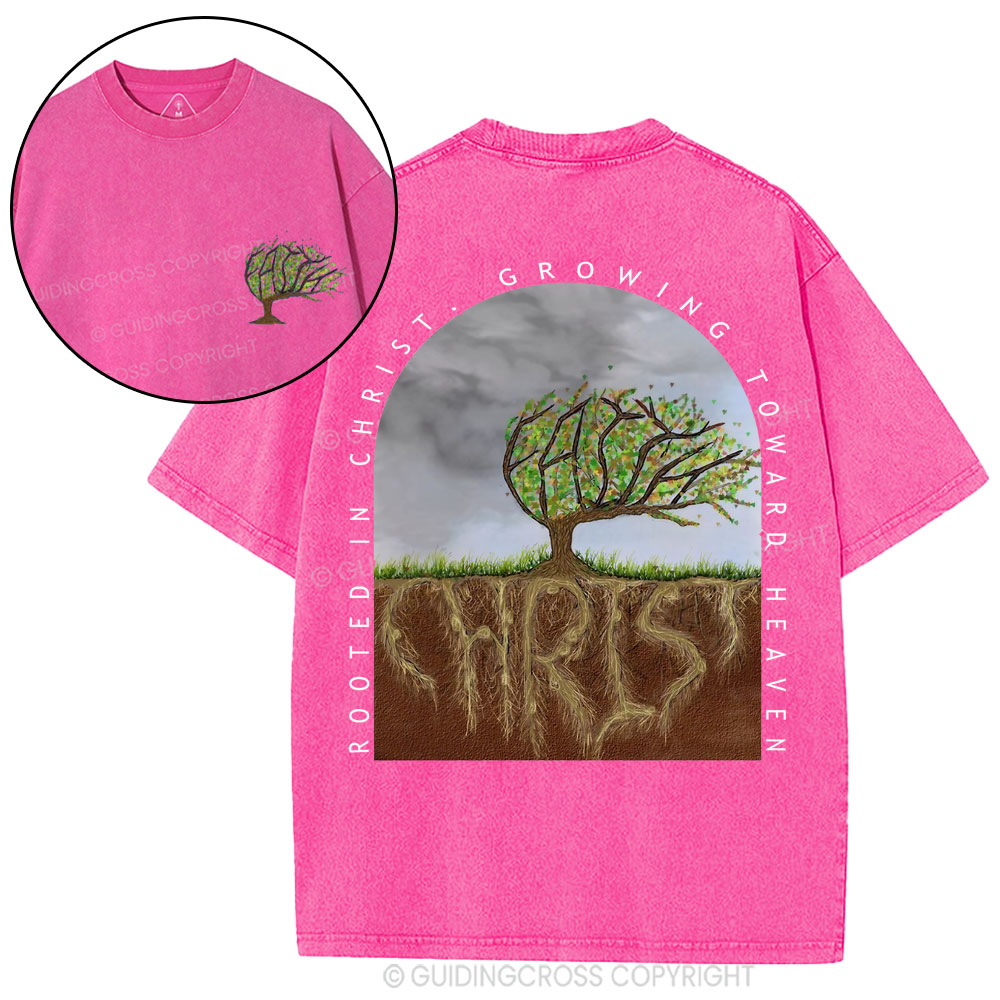 Rooted In Christ Christian Washed T-Shirt