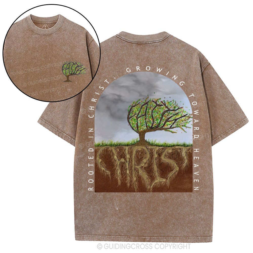 Rooted In Christ Christian Washed T-Shirt
