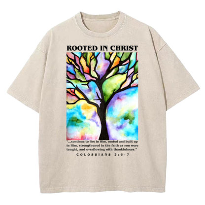 Rooted In Christ Christian Washed T-shirt