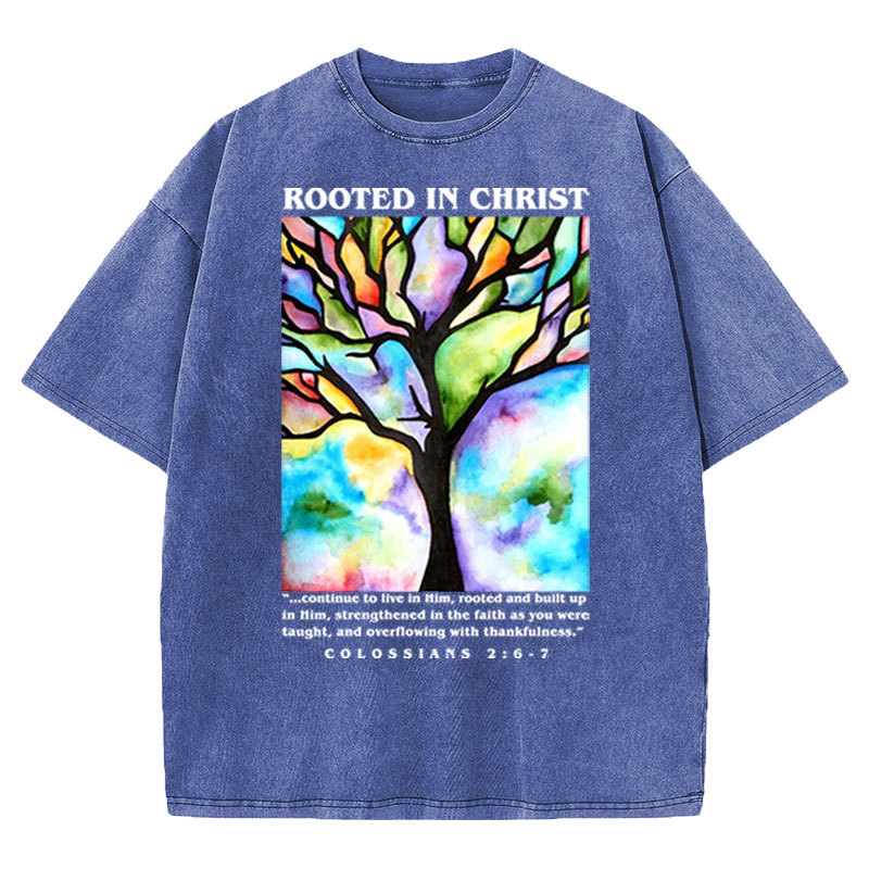 Rooted In Christ Christian Washed T-shirt