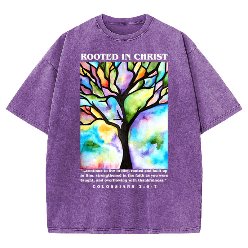 Rooted In Christ Christian Washed T-shirt