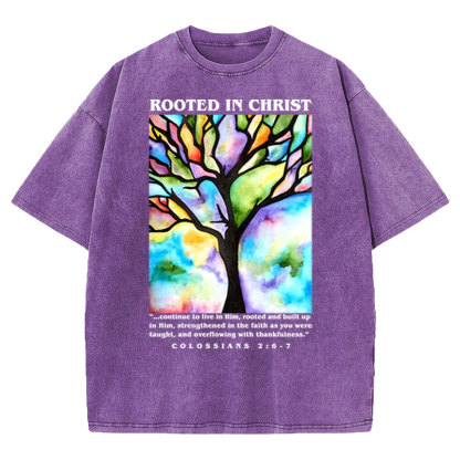Rooted In Christ Christian Washed T-shirt