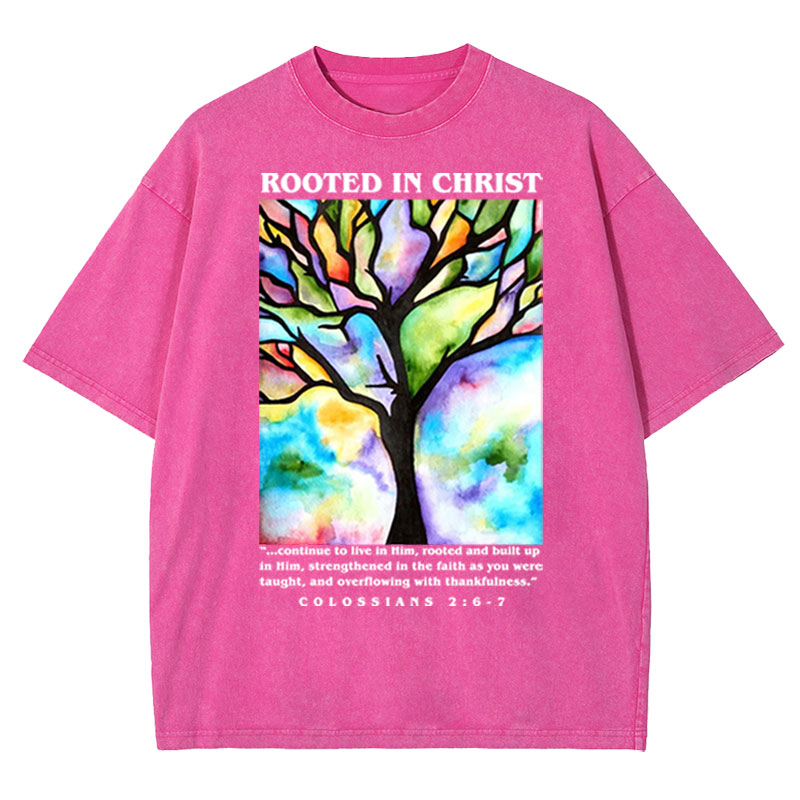 Rooted In Christ Christian Washed T-shirt