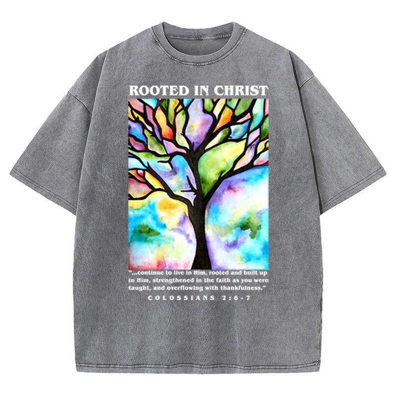Rooted In Christ Christian Washed T-shirt
