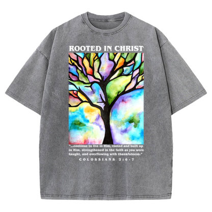 Rooted In Christ Christian Washed T-shirt