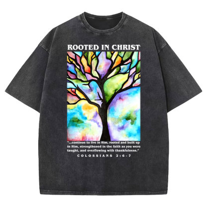 Rooted In Christ Christian Washed T-shirt