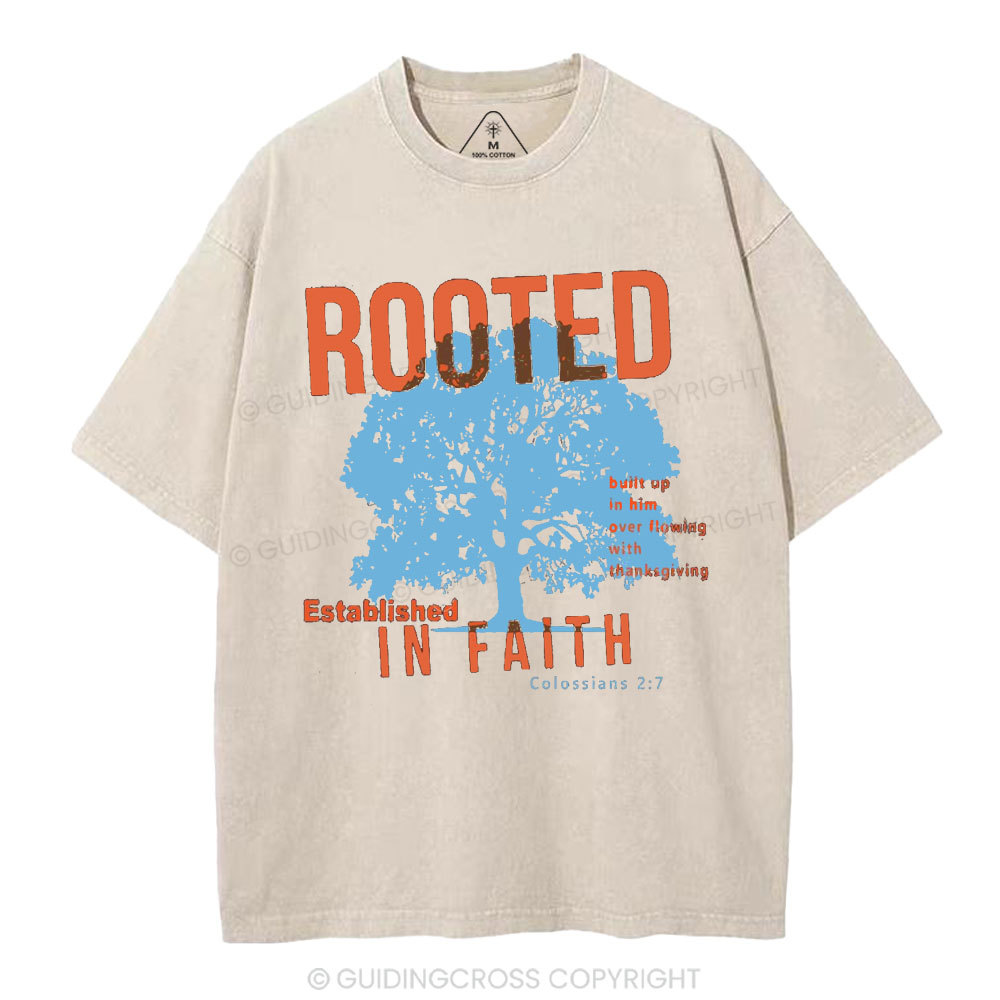 Rooted In Faith Christian Washed T-Shirt