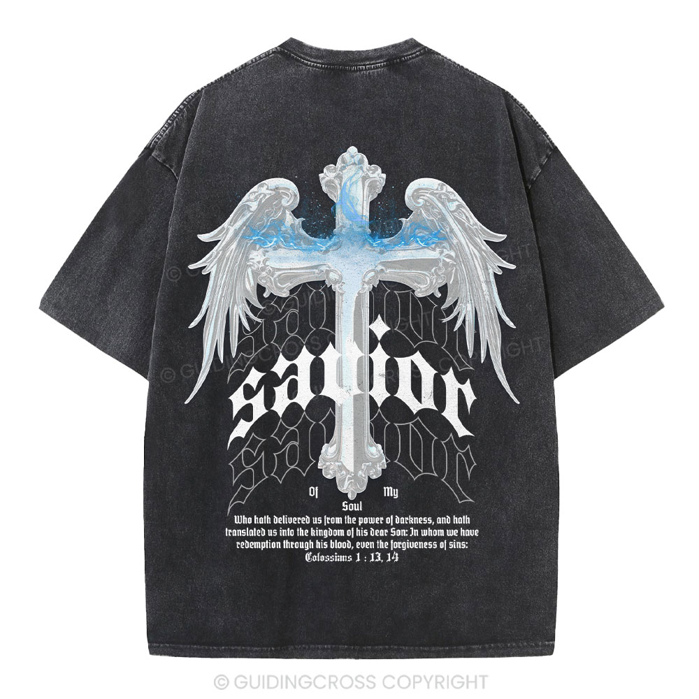 New In Christian Colossians T-Shirt/Hoodies Sale – GuidingCross