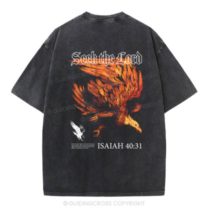 Seek The Lord Christian Washed T-Shirt