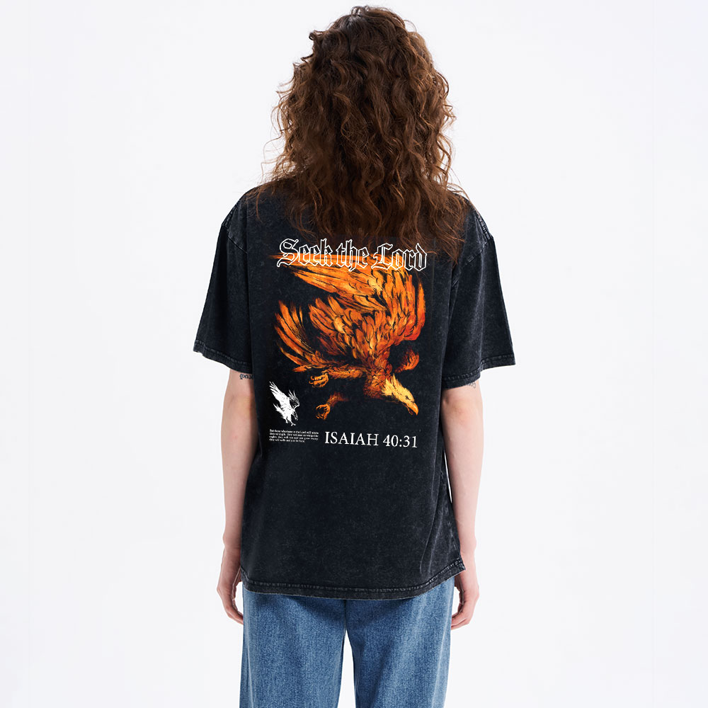Seek The Lord Christian Washed T-Shirt