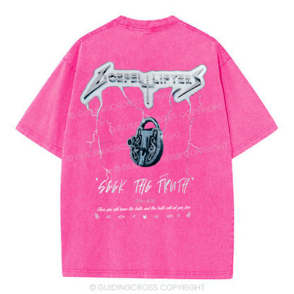 Seek The Truth Christian Washed  T-Shirt