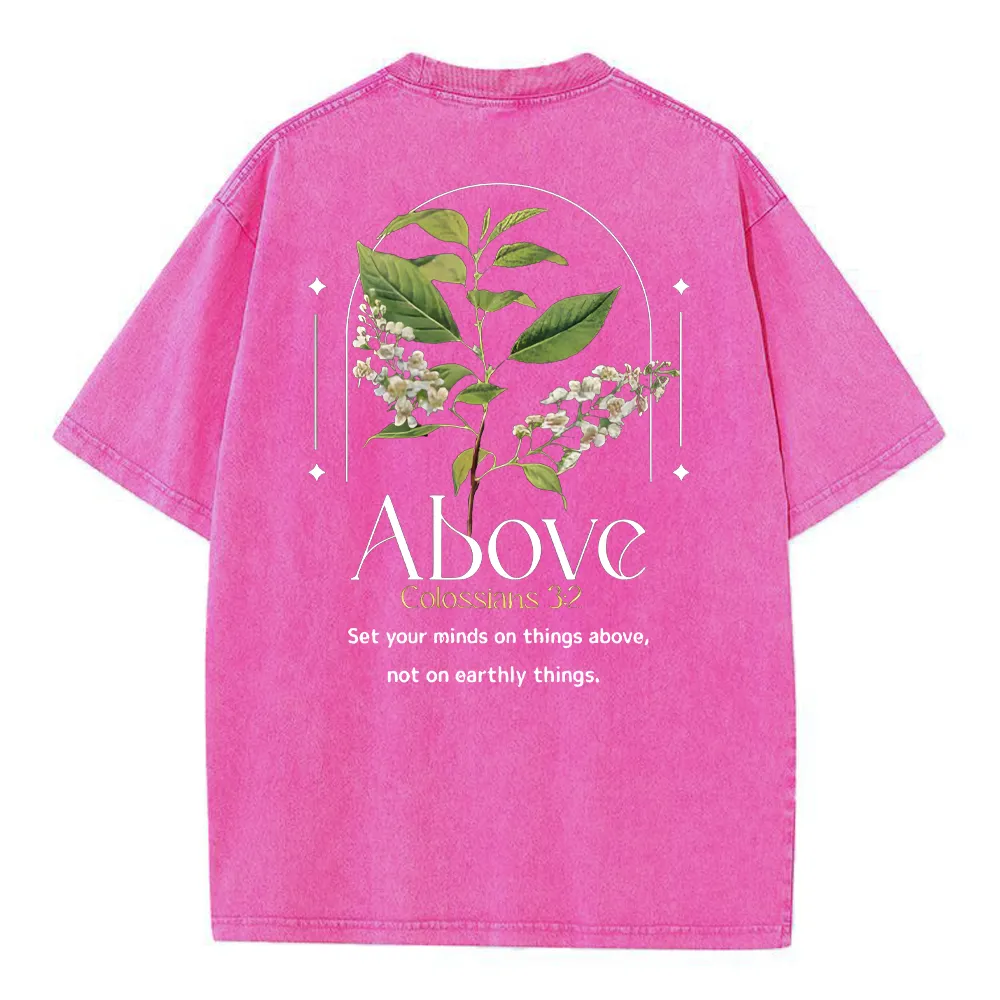 Set Your Mind On Things Above Christian Washed T-Shirt