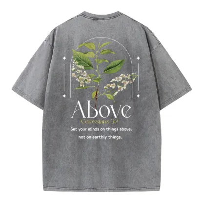 Set Your Mind On Things Above Christian Washed T-Shirt