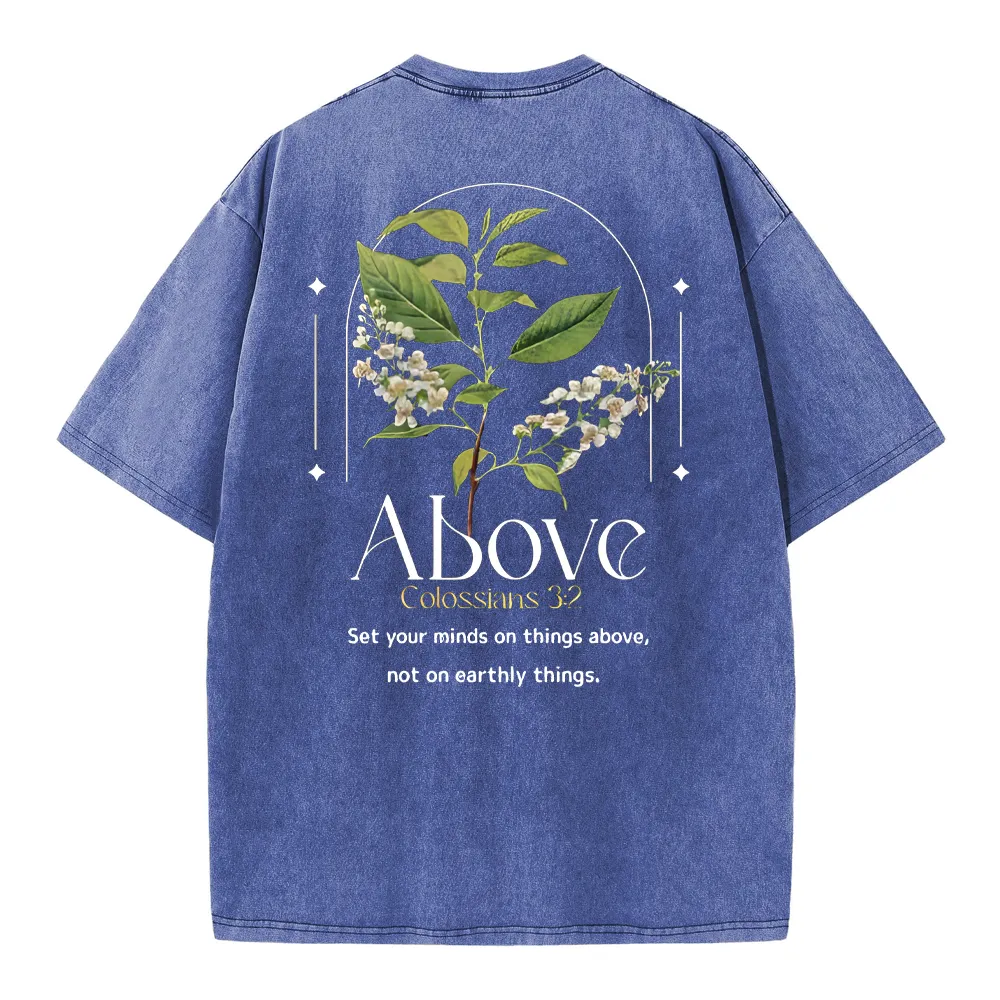 Set Your Mind On Things Above Christian Washed T-Shirt