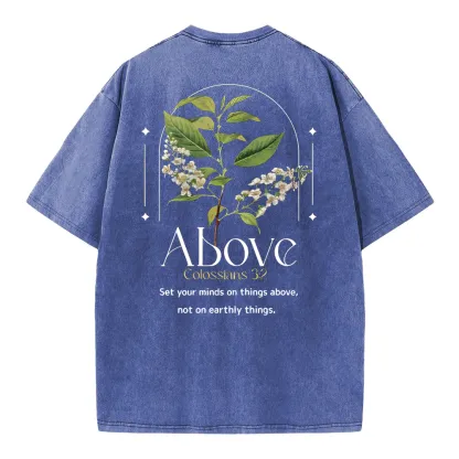 Set Your Mind On Things Above Christian Washed T-Shirt