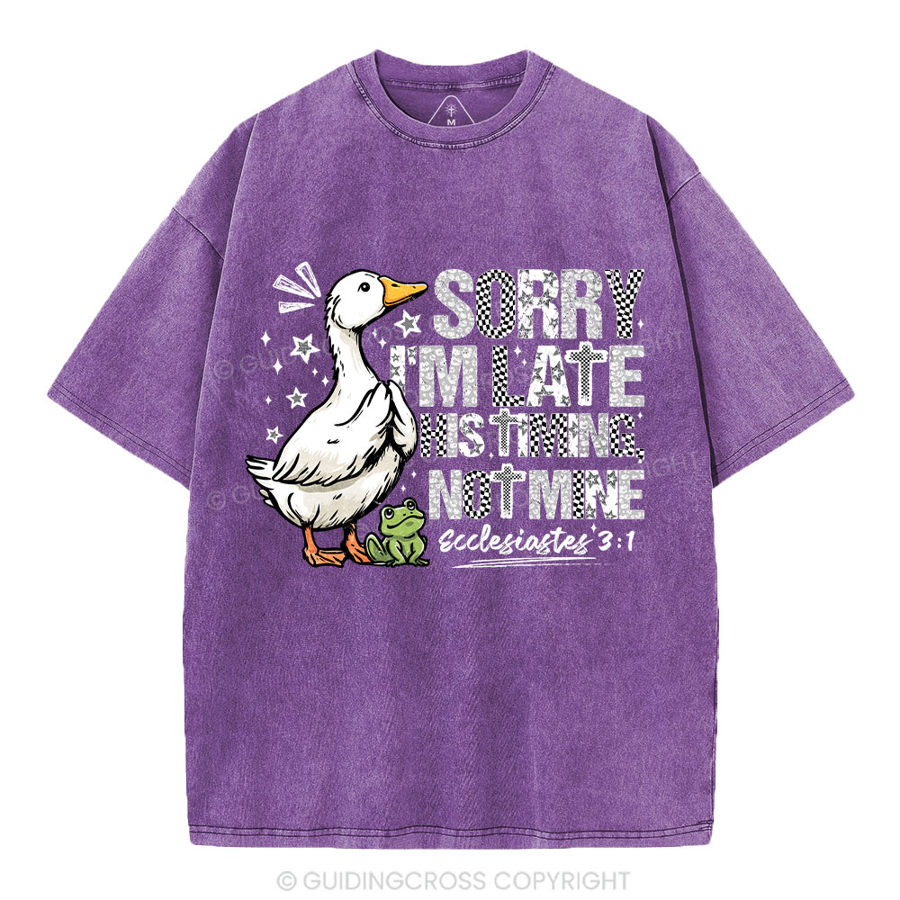 New-Sample Christian Washed T-Shirt Sale - GuidingCross