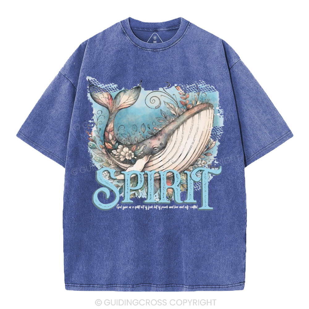 Spirit Chrsitian Washed T-Shirt