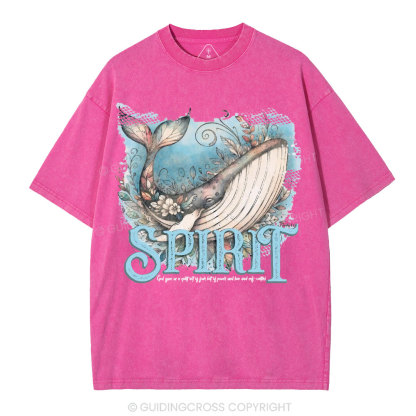 Spirit Chrsitian Washed T-Shirt
