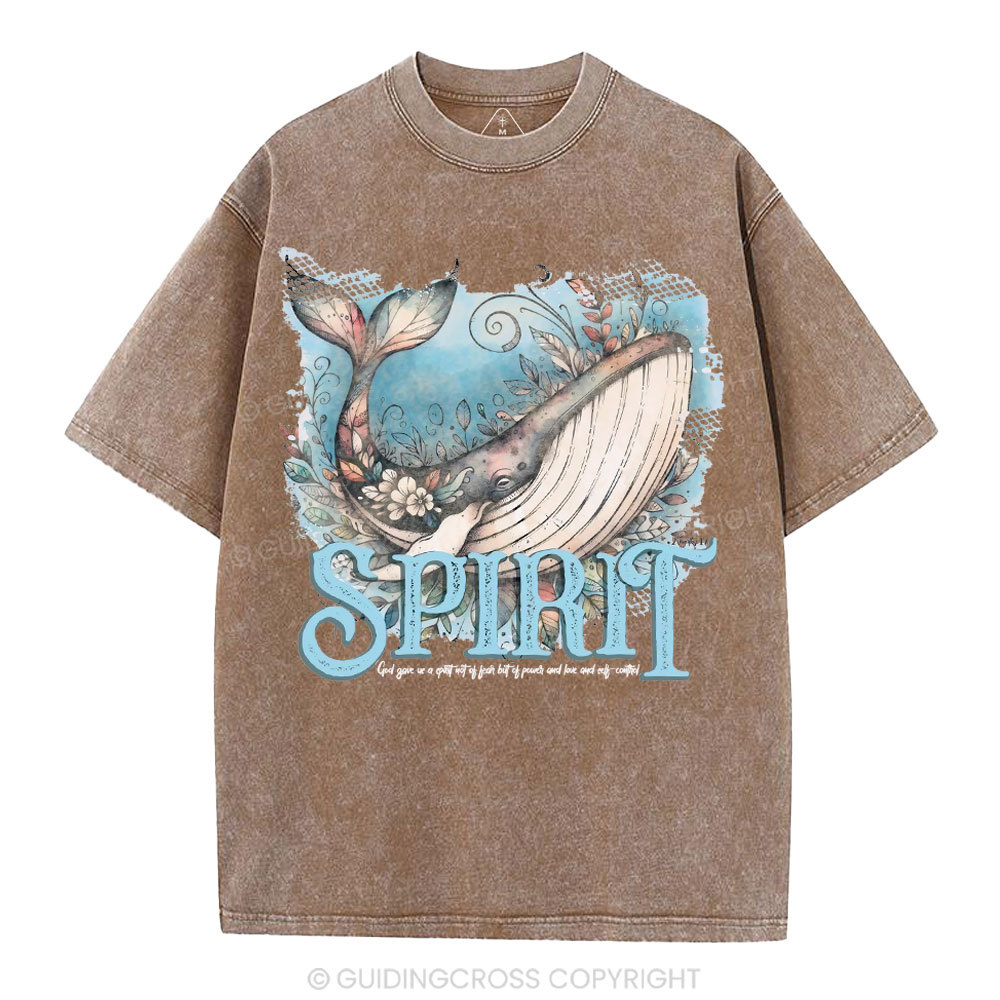 Spirit Chrsitian Washed T-Shirt