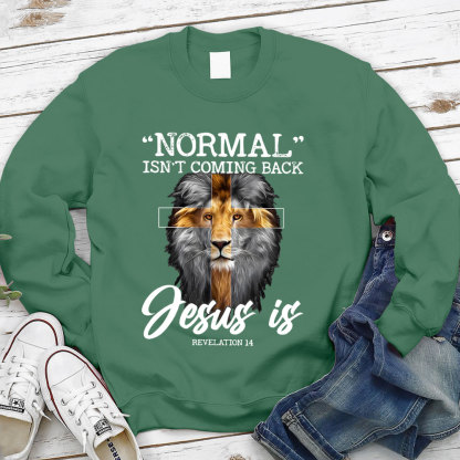Normal Isn't Coming Back Jesus Is Lion Sweatshirt