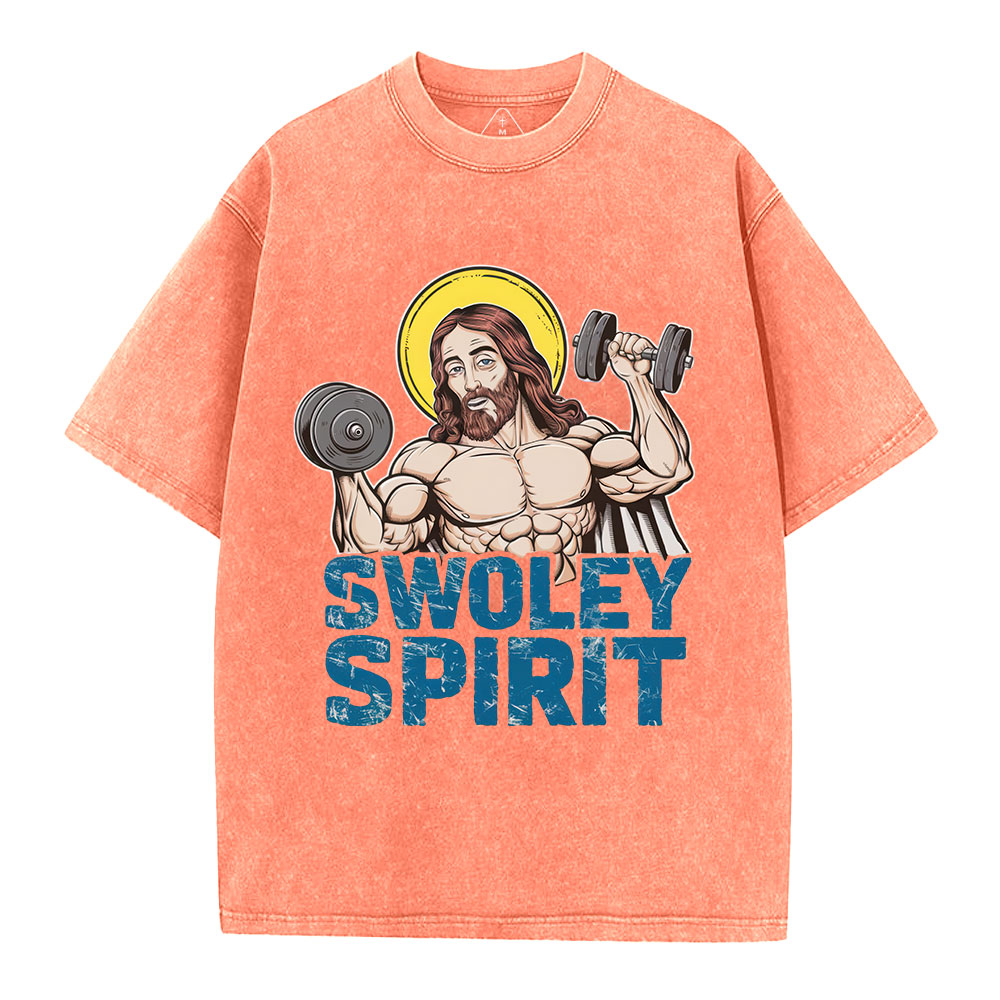 Swoley Spirit Christian Washed T-Shirt