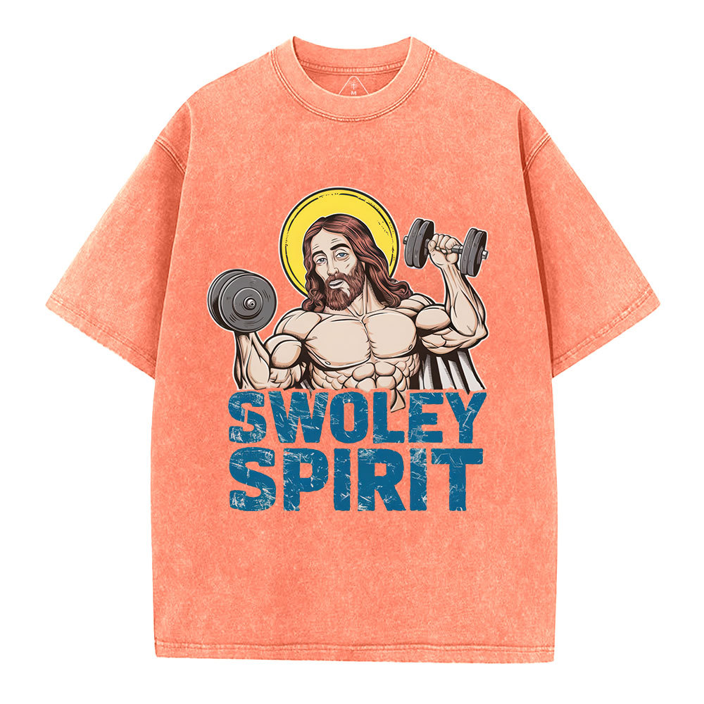 Swoley Spirit Christian Washed T-Shirt