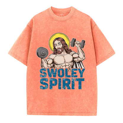 Swoley Spirit Christian Washed T-Shirt