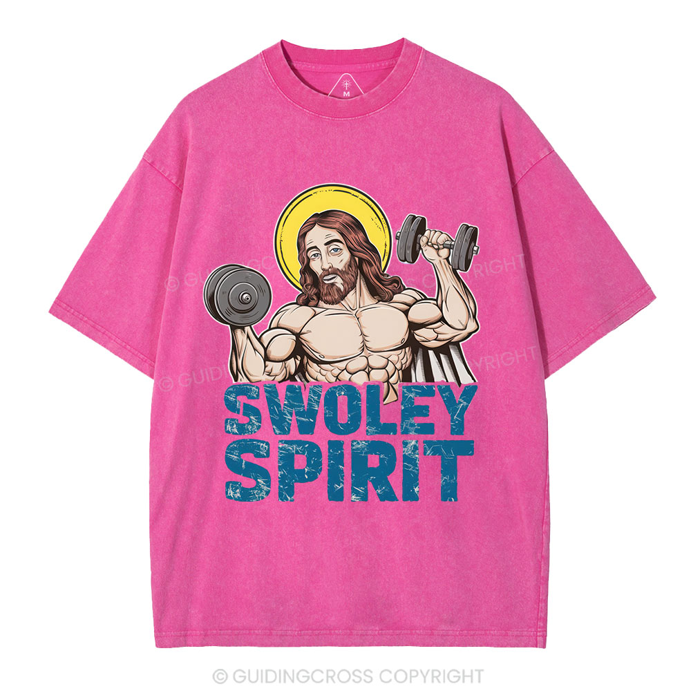 Swoley Spirit Christian Washed T-Shirt