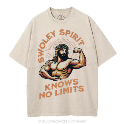 Swoley Spirit Knows No Limits Christian Washed T-Shirt