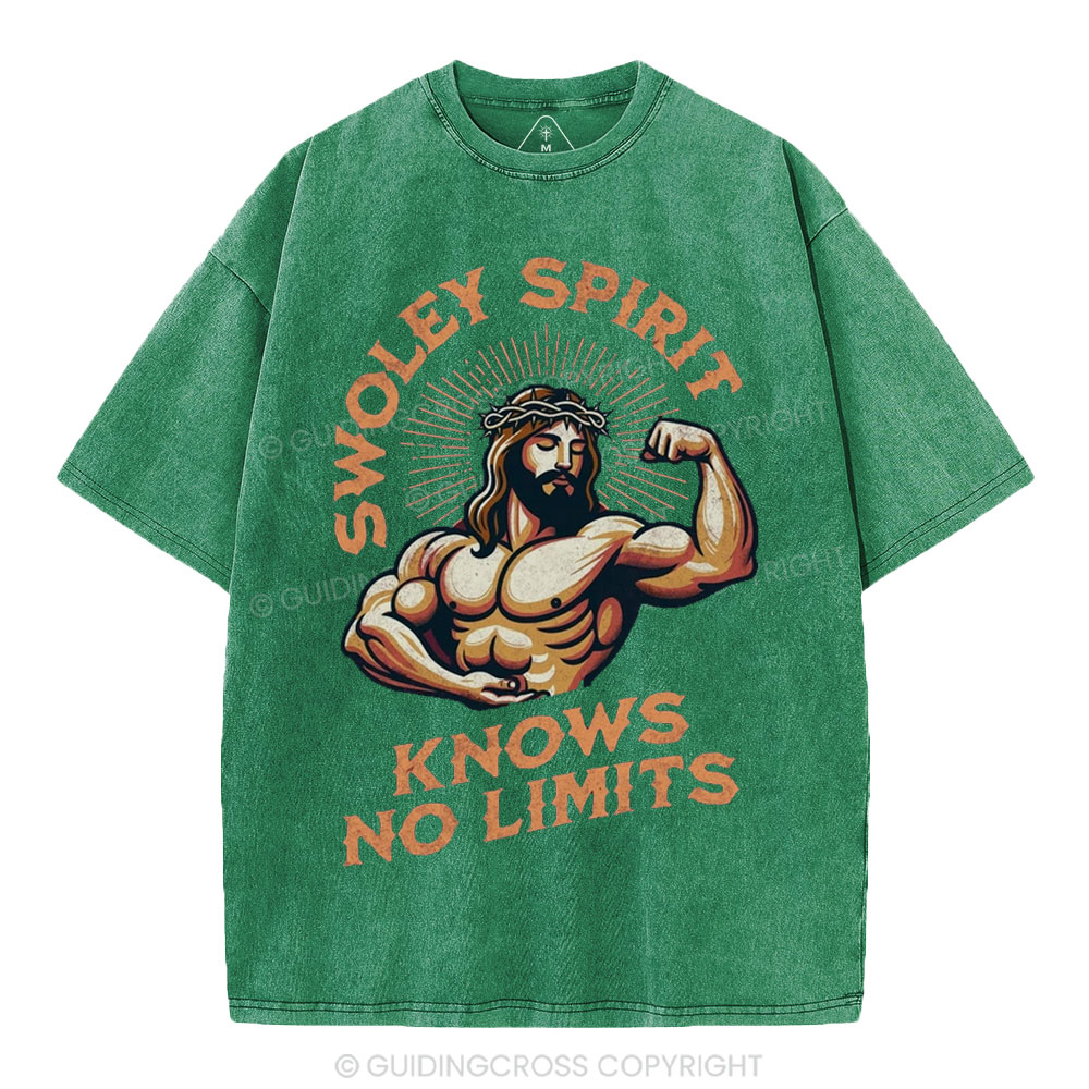 Swoley Spirit Knows No Limits Christian Washed T-Shirt