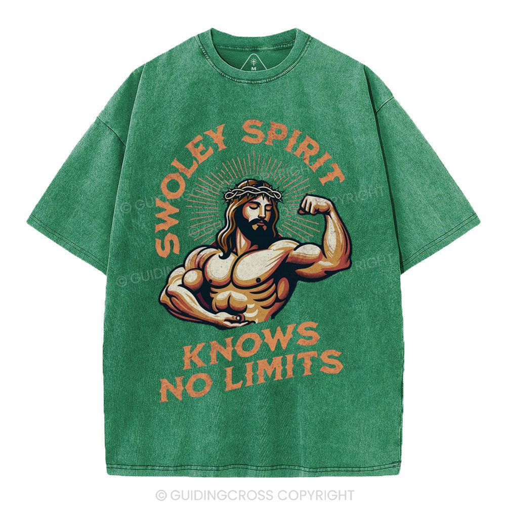 Swoley Spirit Knows No Limits Christian Washed T-Shirt