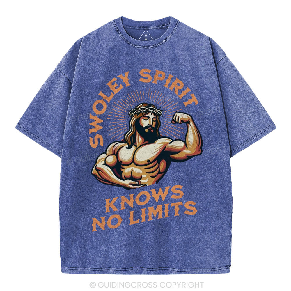 Swoley Spirit Knows No Limits Christian Washed T-Shirt