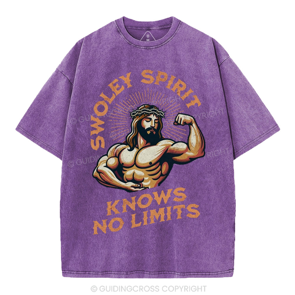 Swoley Spirit Knows No Limits Christian Washed T-Shirt