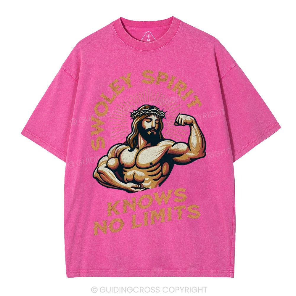 Swoley Spirit Knows No Limits Christian Washed T-Shirt