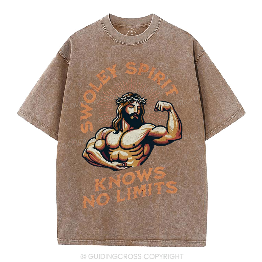 Swoley Spirit Knows No Limits Christian Washed T-Shirt