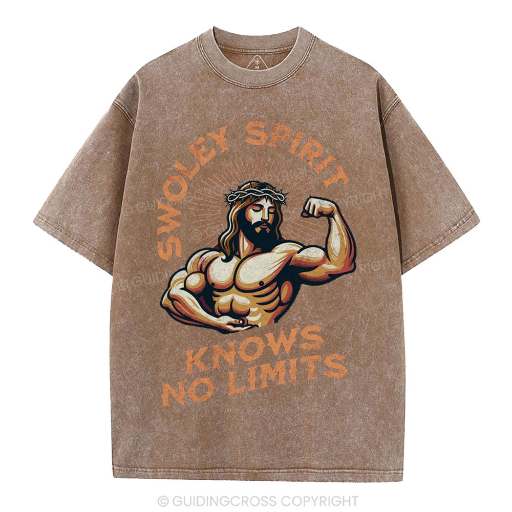 Swoley Spirit Knows No Limits Christian Washed T-Shirt