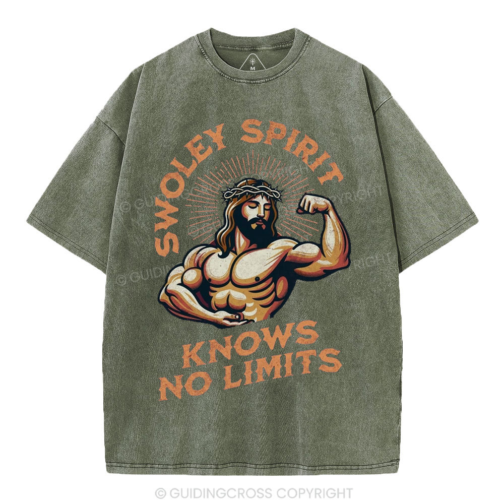Swoley Spirit Knows No Limits Christian Washed T-Shirt