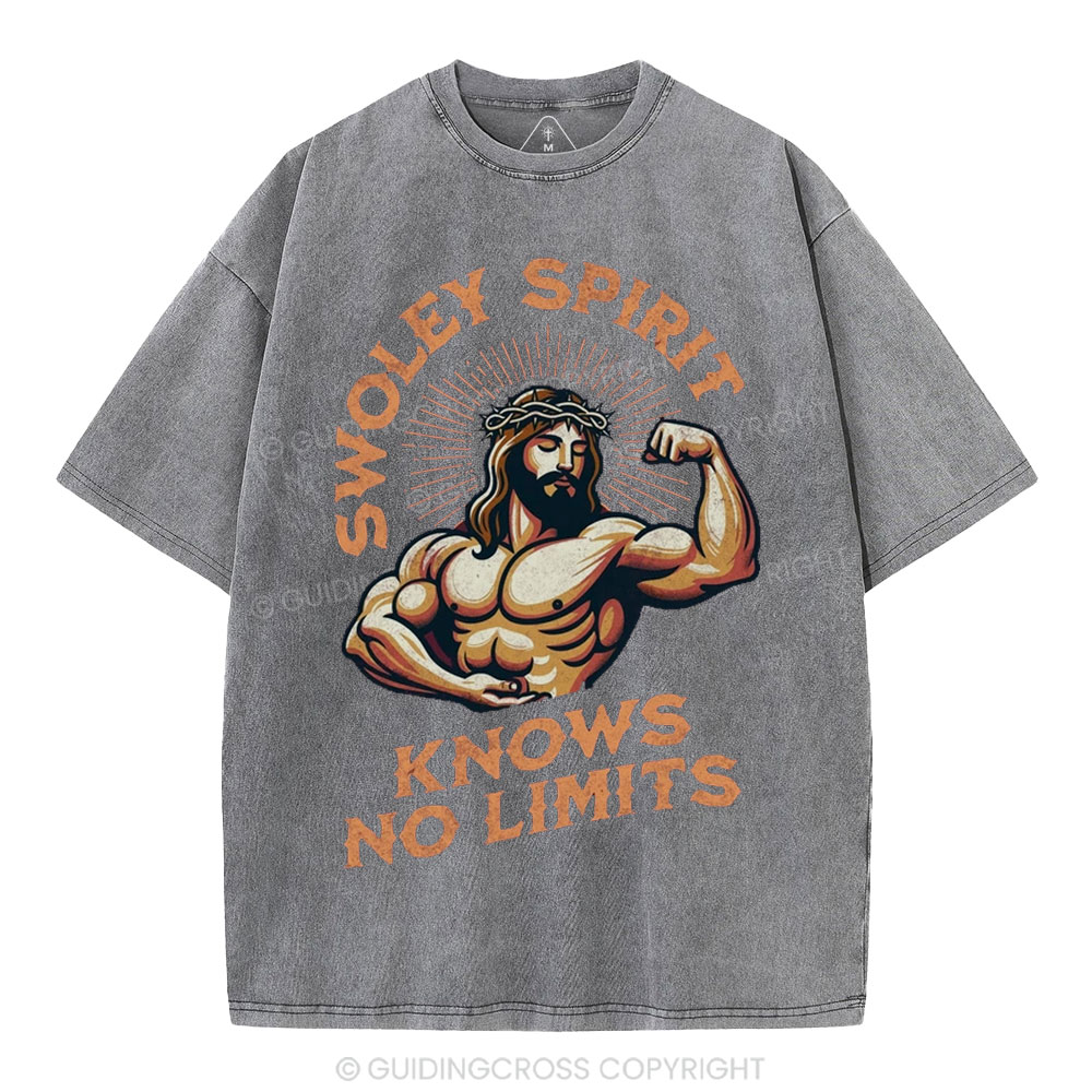 Swoley Spirit Knows No Limits Christian Washed T-Shirt