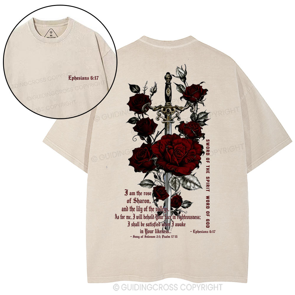New-Sample Christian Washed T-Shirt Sale - GuidingCross