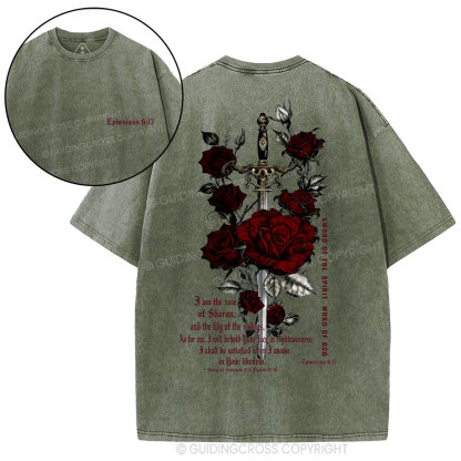 Sword Of The Spirit Word Of God Christian Washed T-Shirt