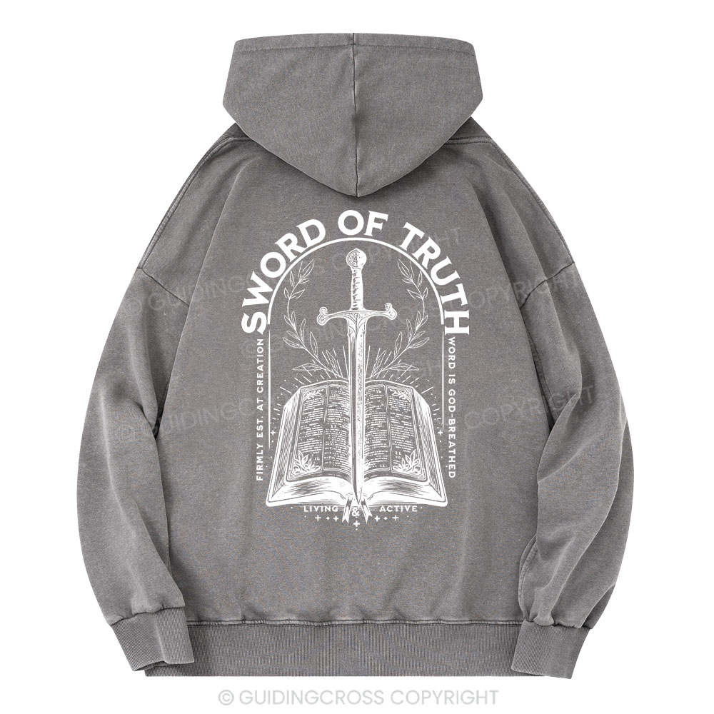Sword Of Truth Christian Washed Hoodie