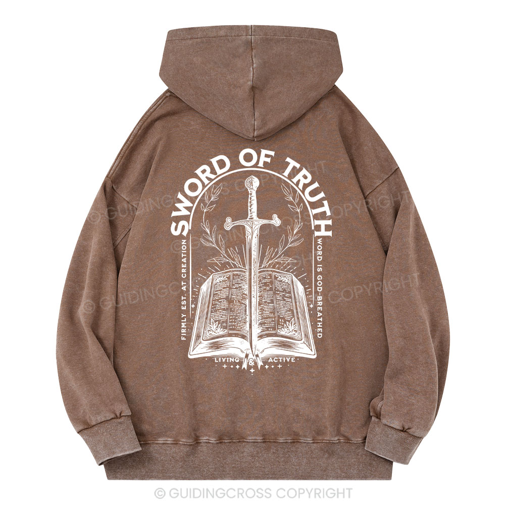 Sword Of Truth Christian Washed Hoodie