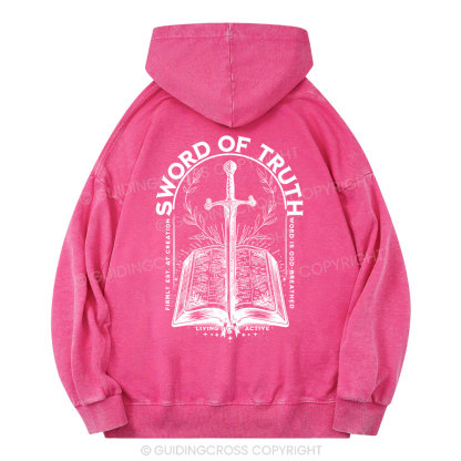 Sword Of Truth Christian Washed Hoodie