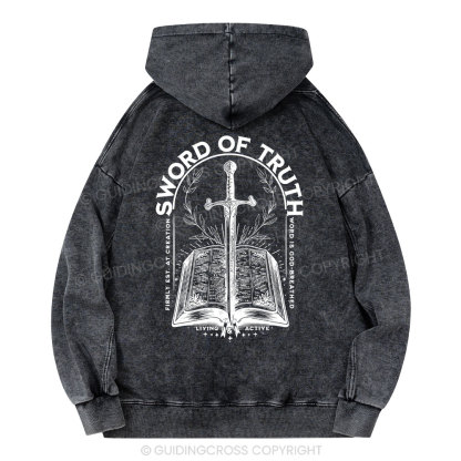Sword Of Truth Christian Washed Hoodie