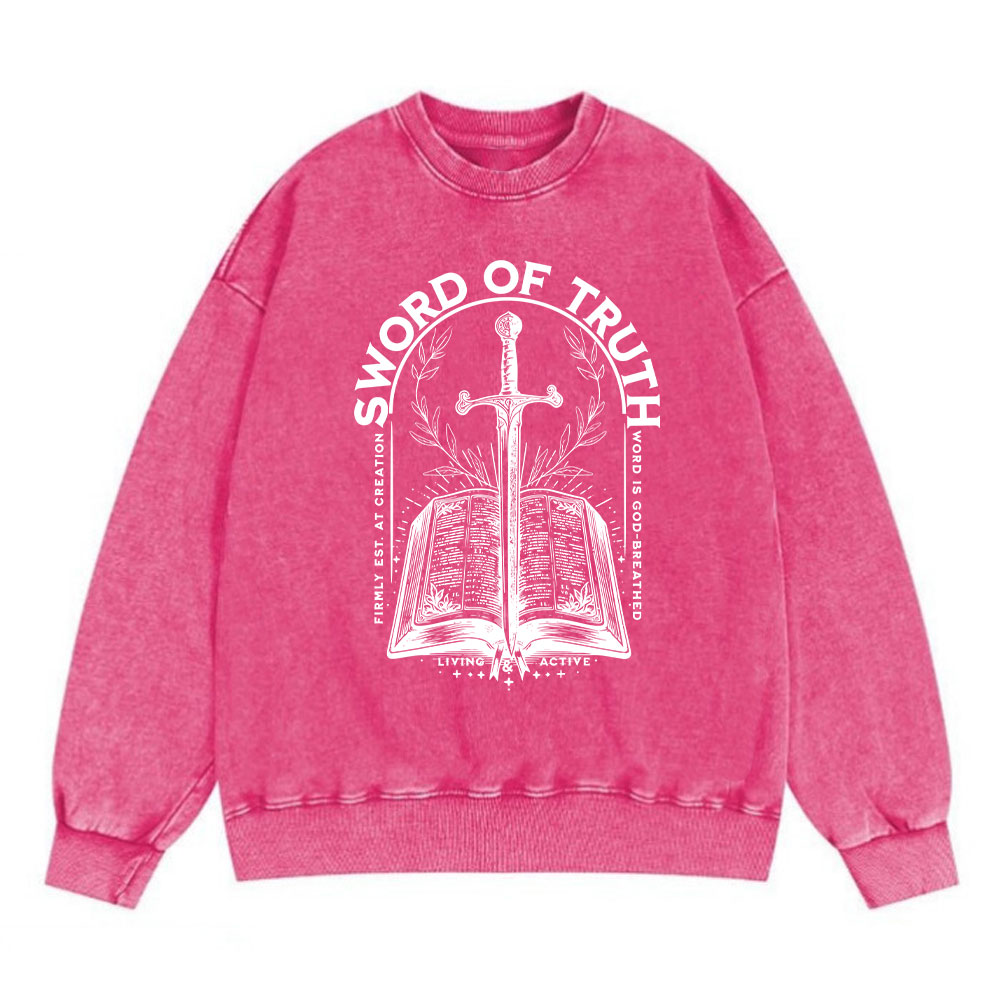 Sword Of Truth Christian Washed Sweatshirt