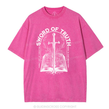 Sword Of Truth Christian Washed T-Shirt