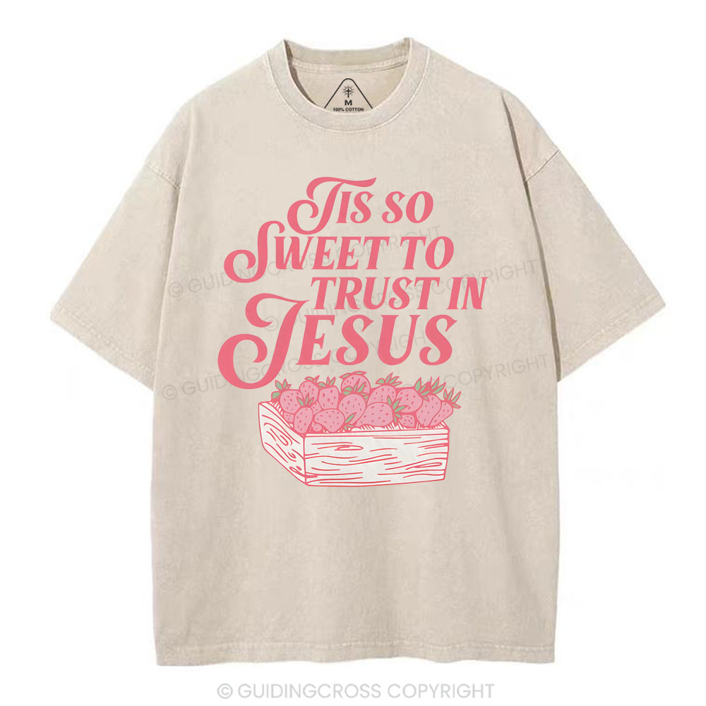 TIS To Sweet To Trust In Jesus Christian Washed T-Shirt